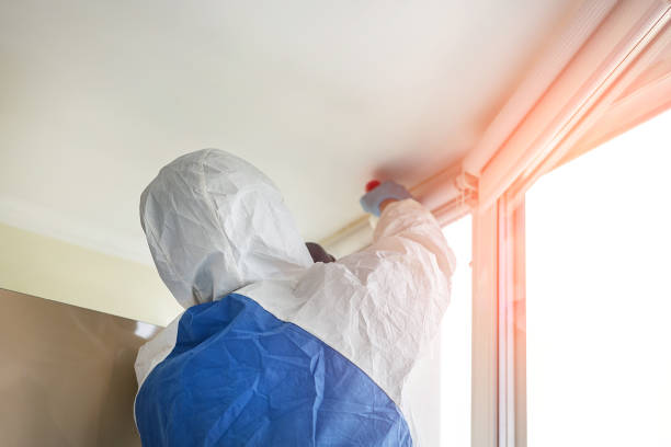 Why You Should Choose Our Mold Remediation Services in Ferguson, MO